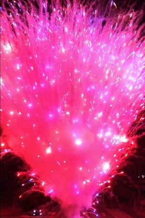 Fireworks.YA-11005
