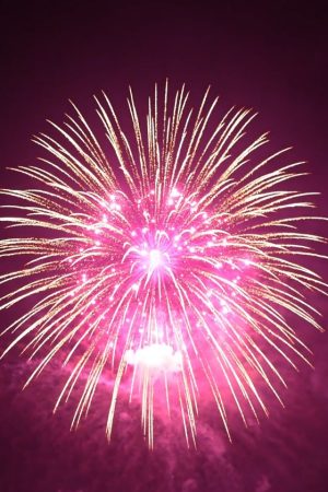 Fireworks.YA-11023