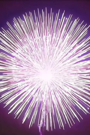 Fireworks.YA-11030