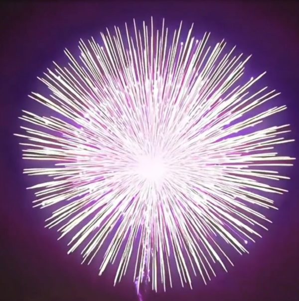 Fireworks.YA-11030