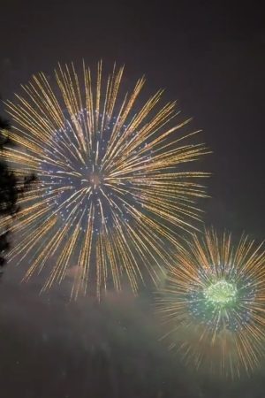 Fireworks.YA-11031