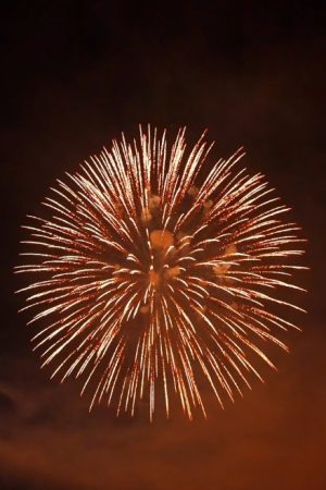 Fireworks.YA-11016