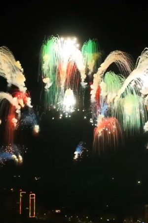Fireworks.YA-11017