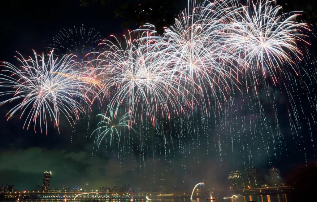 The Ephemeral Glory: Why We Gaze Upward at the Fireworks