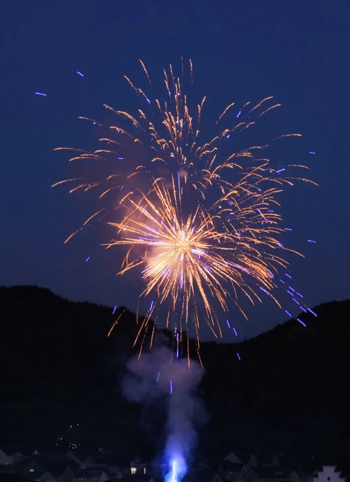 Global Pyrotechnic Event Halted: Funding Woes Silence a City's Celebration of Light